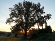 Литовка з panoramio.com