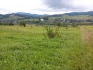 Велика Лінина