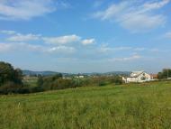 Фото М.Ключів