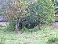 Крижі. У відрядженні. 17 вересня 2012.