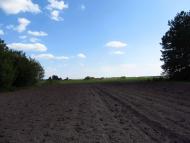 Крижі. У відрядженні. 17 вересня 2012.