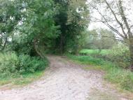 Фото М.Ключів