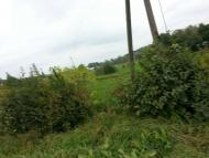 Фото М.Ключів