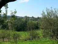 Фото М.Ключів