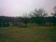 Семеновка - Последние фото