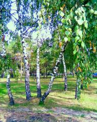 Семеновка - Последние фото