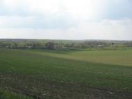 Кам'яногірка