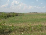 Кам'яногірка