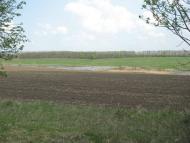 Кам'яногірка