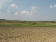 Кам'яногірка