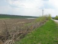 Кам'яногірка