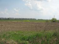 Кам'яногірка