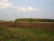 місцевість