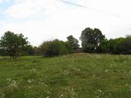 Крижі. У відрядженні. 17 вересня 2012.