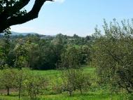 Фото М.Ключів