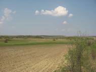 Кам'яногірка