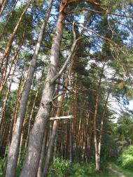 Крижі. У відрядженні. 17 вересня 2012.