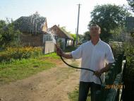 Шершнівка - Останні фото