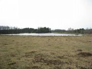 Пнівне - Останні фото