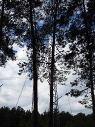 Крижі. У відрядженні. 17 вересня 2012.