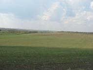 Кам'яногірка