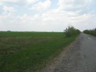 Кам'яногірка