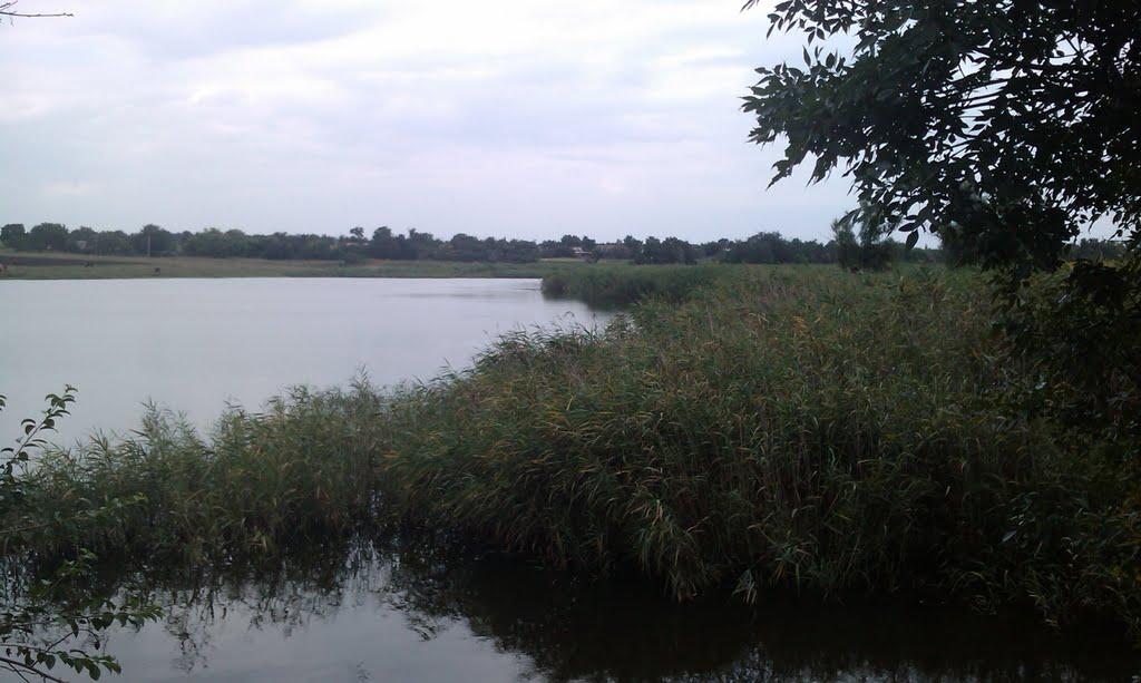 Базарове з panoramio.com - Базарове