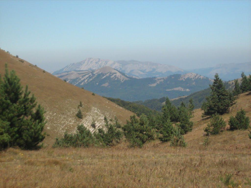 Совєтське з panoramio.com (ч.2) - Советское
