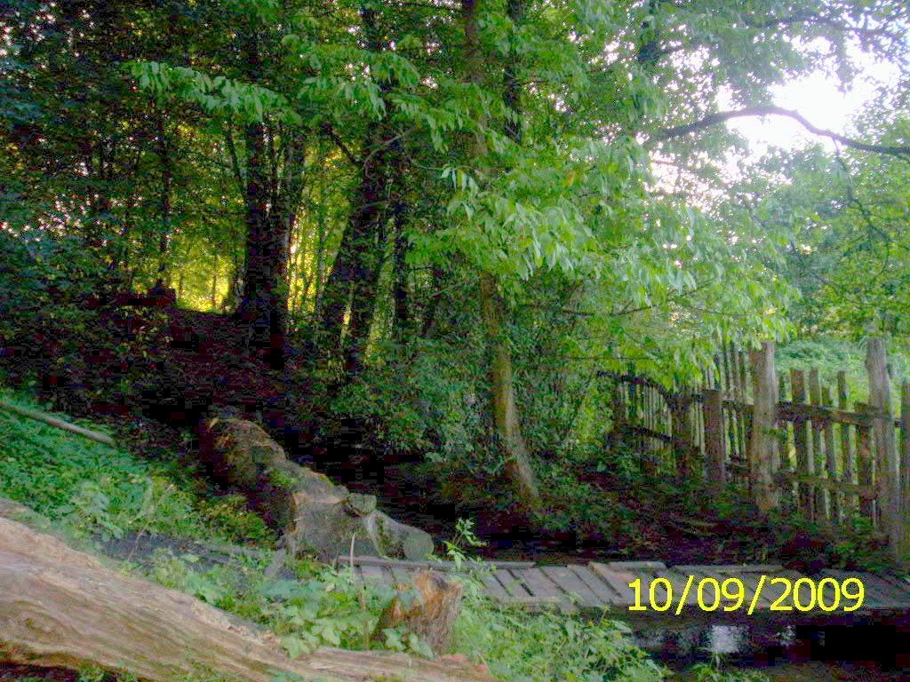 Горенка з panoramio.com - Горенка