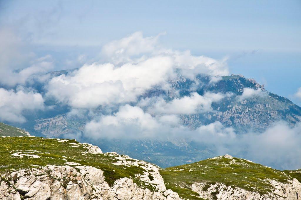 Розовий з panoramio.com (ч.2) - Розовий