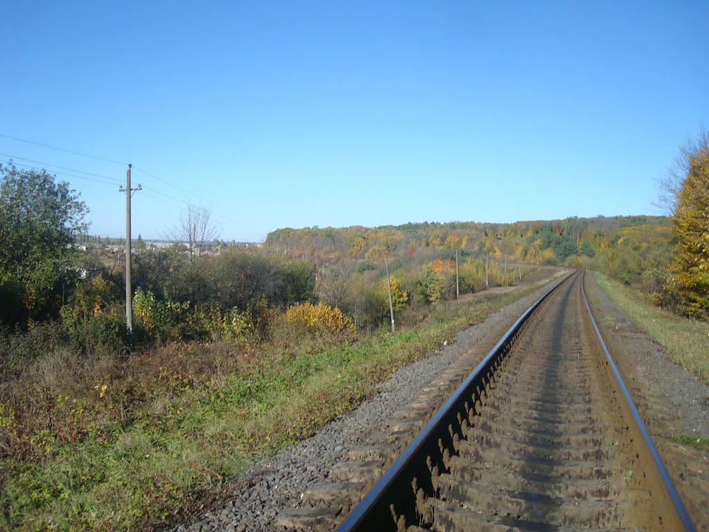 Щиборівка з panoramio.com - Schyborivka