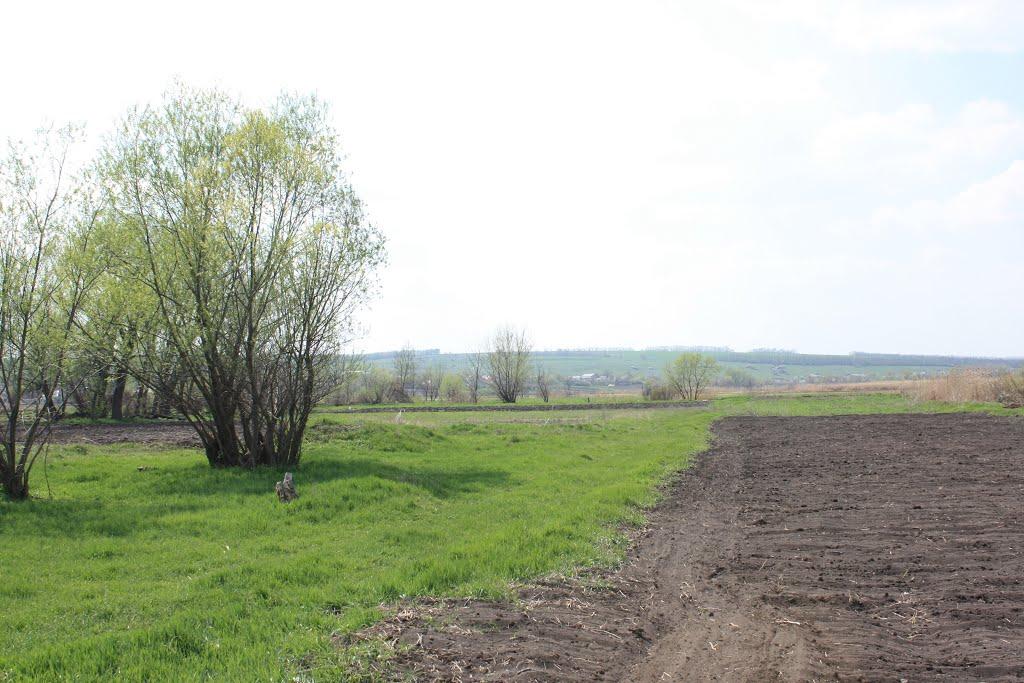 Євсуг з panoramio.com - Євсуг