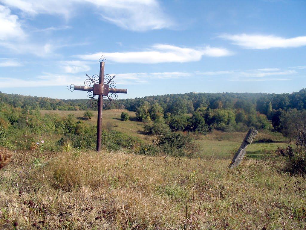 Храпачів Яр з panoramio.com - Храпачів Яр