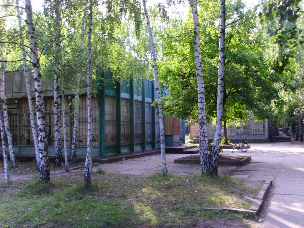 Новосілки з panoramio.com - Новоселки