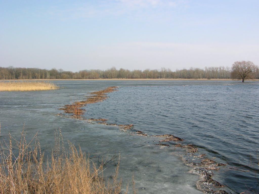 Балаклія з panoramio.com - Балаклея