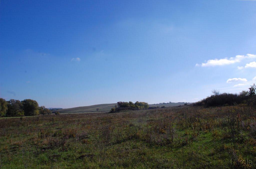 Селезнівка з panoramio.com - Селезневка
