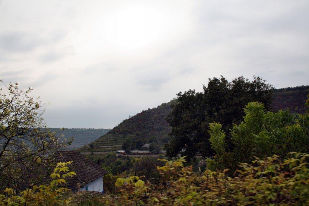 Олексіївка з panoramio.com - Алексеевка