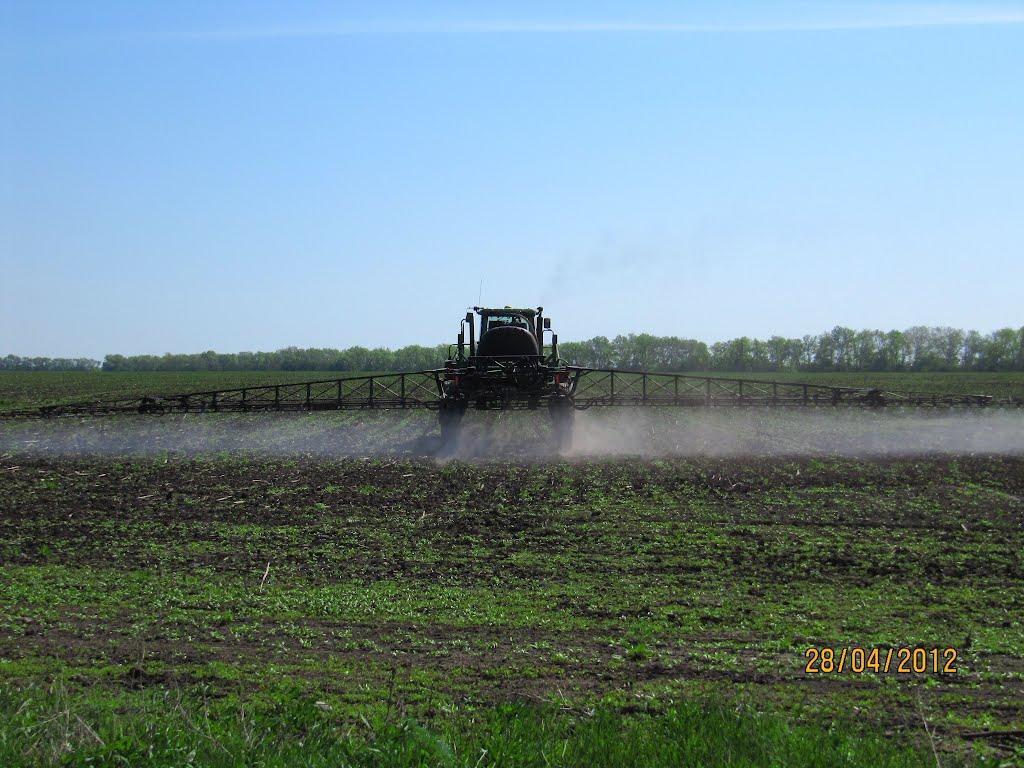 Нижня Вільхова з panoramio.com - Нижня Вільхова