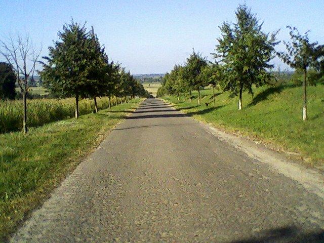 Козулька з panoramio.com - Козулька