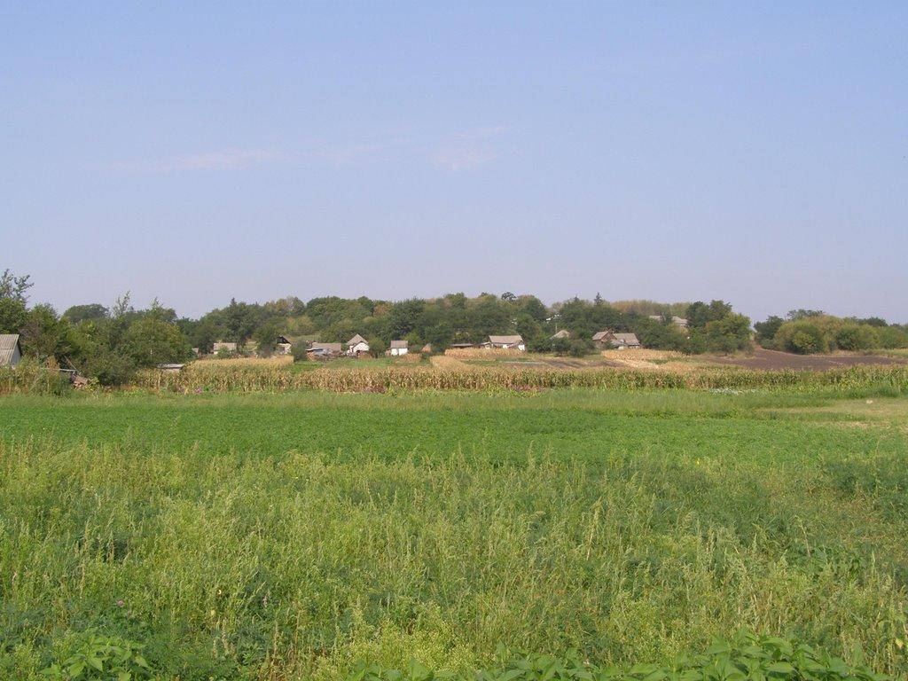 Лузанівка з panoramio.com - Лузановка