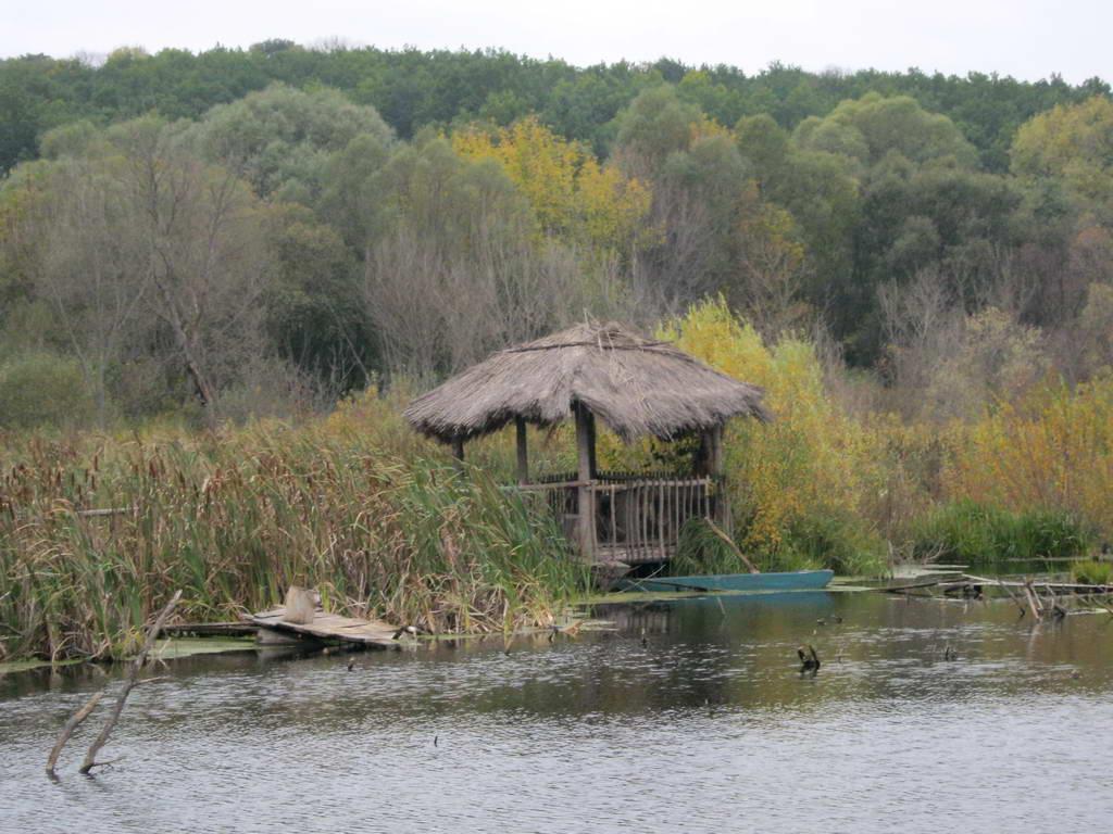 Вакалівщина з panoramio.com - Вакаловщина