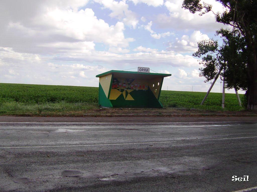 Орли з panoramio.com - Орли