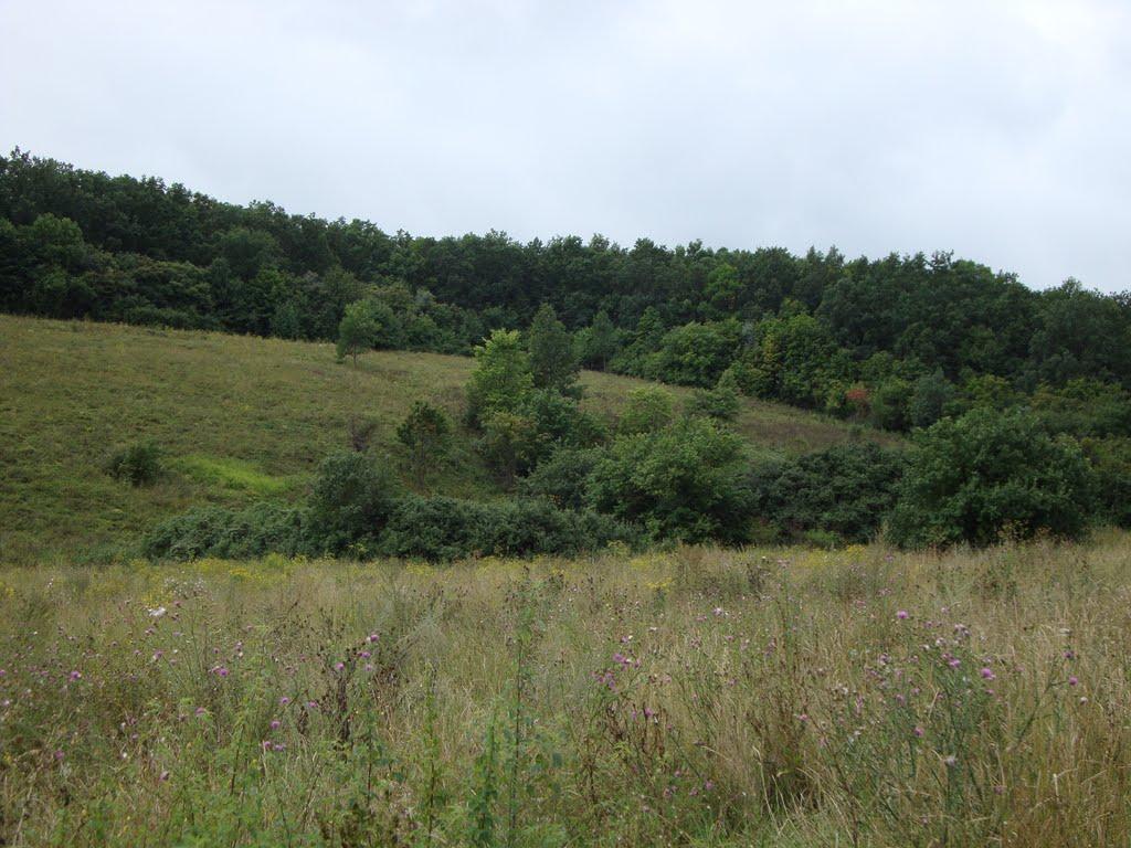 Руські Тишки з panoramio.com - Руські Тишки