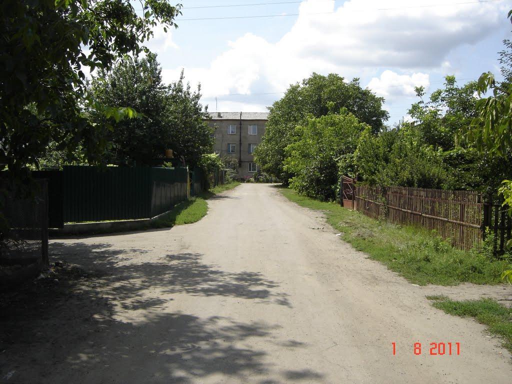 Борщі з panoramio.com - Борщі