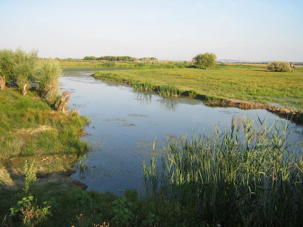 Орлівка з panoramio.com - Orlivka