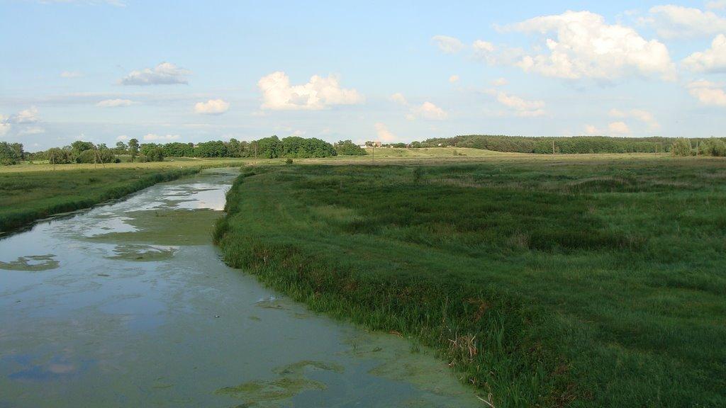 Селище з panoramio.com - Селище