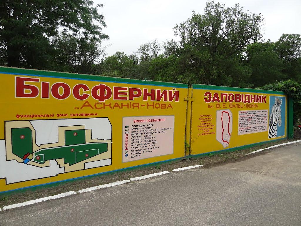 Асканія-Нова з panoramio.com - Askaniya-Nova