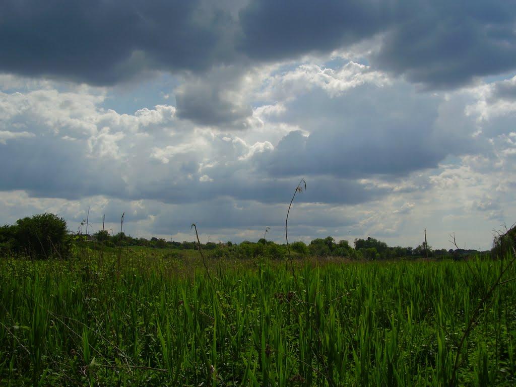 Вершина Друга з panoramio.com - Вершина Друга