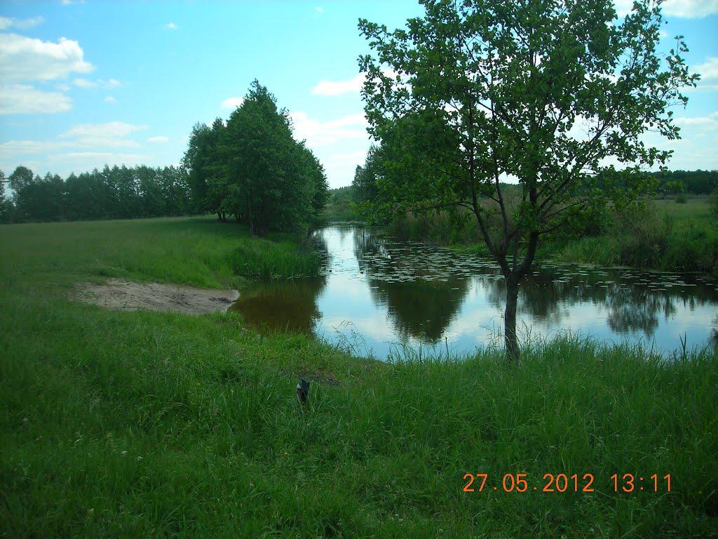 Рокитне з panoramio.com - Рокитне
