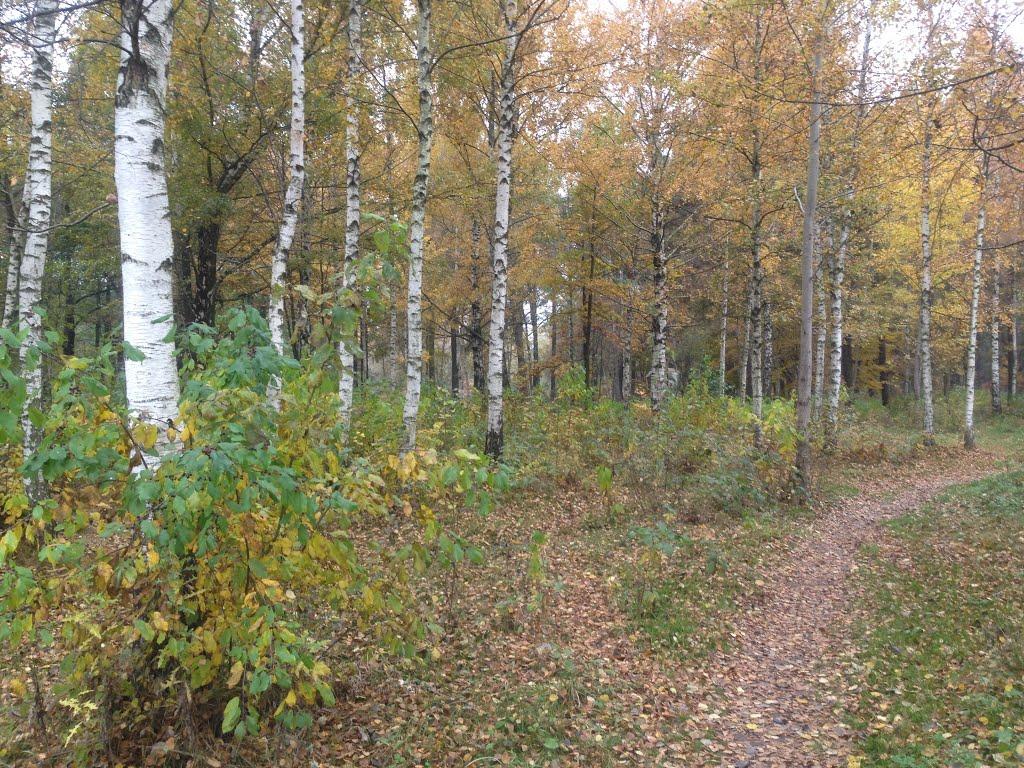 Шепетівка з panoramio.com (ч.2) - Шепетовка